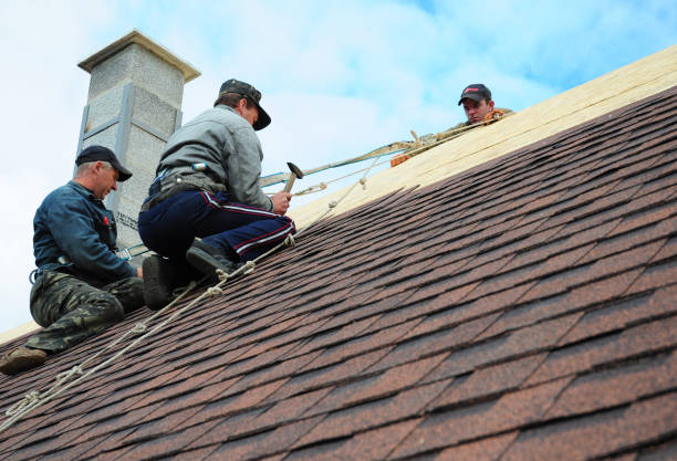 Best Roof Gutter Cleaning  in Tunnel Hill, GA